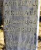 Headstone for Andrew James Medcalf
