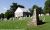 Old Stone Church Cemetery, Green Spring, Frederick Co., Virginia