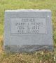 Headstone for Sarah Adams Picken