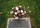 Headstone for William Orrin Zentmyer